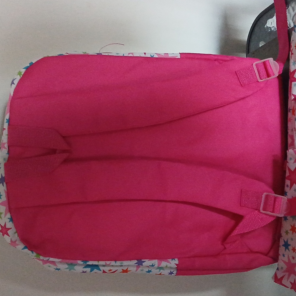 Two Backpacks - Picture 3 of 5